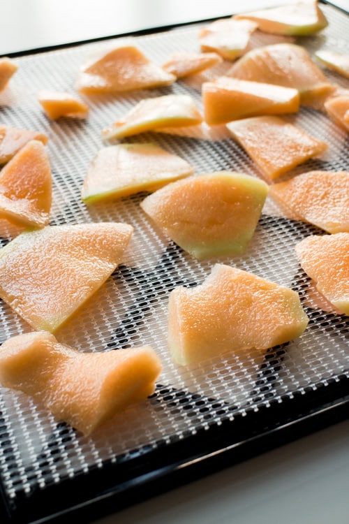 Easy step by step instructions with pictures on how to make Cantaloupe Chips! This is a healthy and easy snack to make!