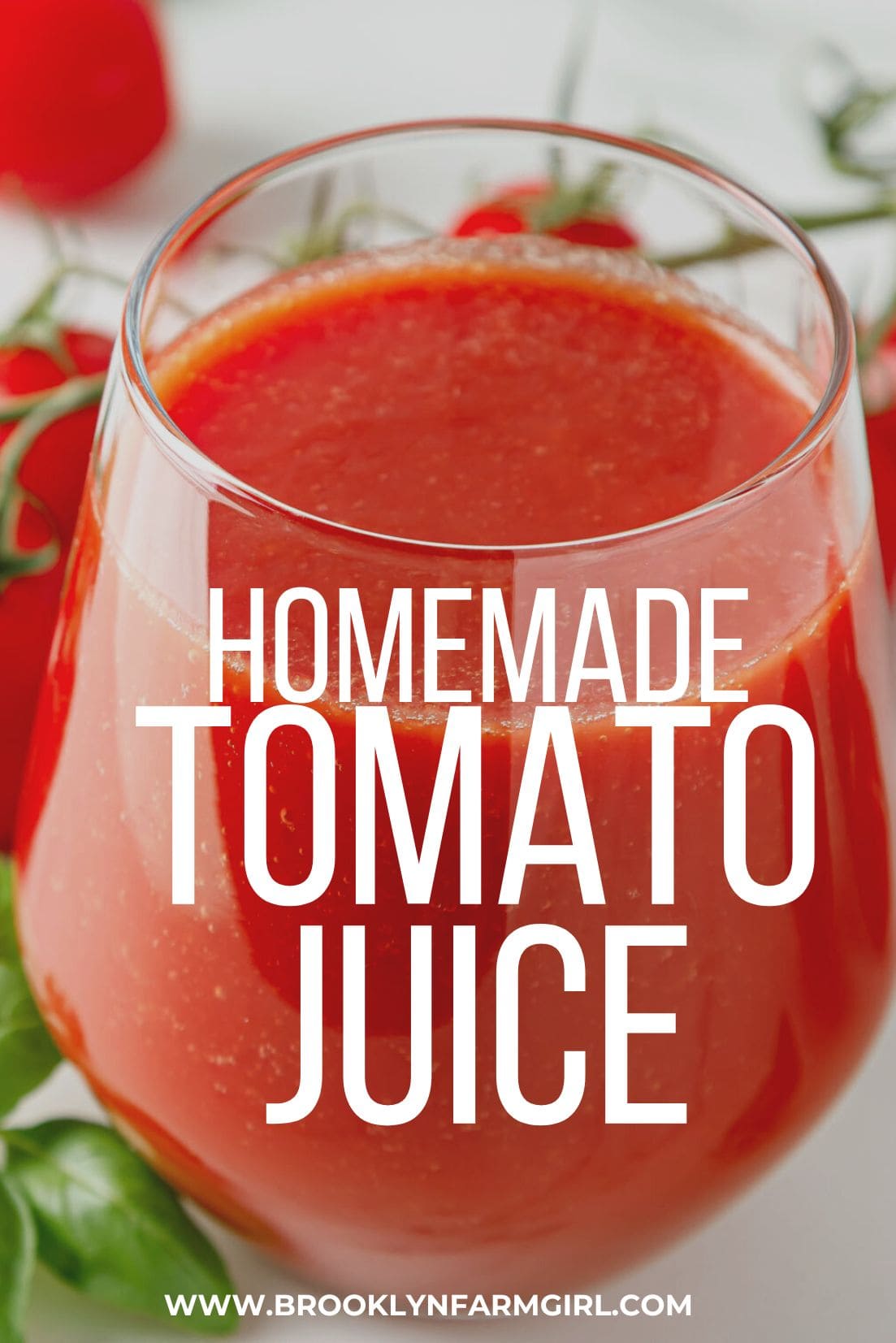 2Ingredient Tomato Juice with Fresh Tomatoes Brooklyn Farm Girl