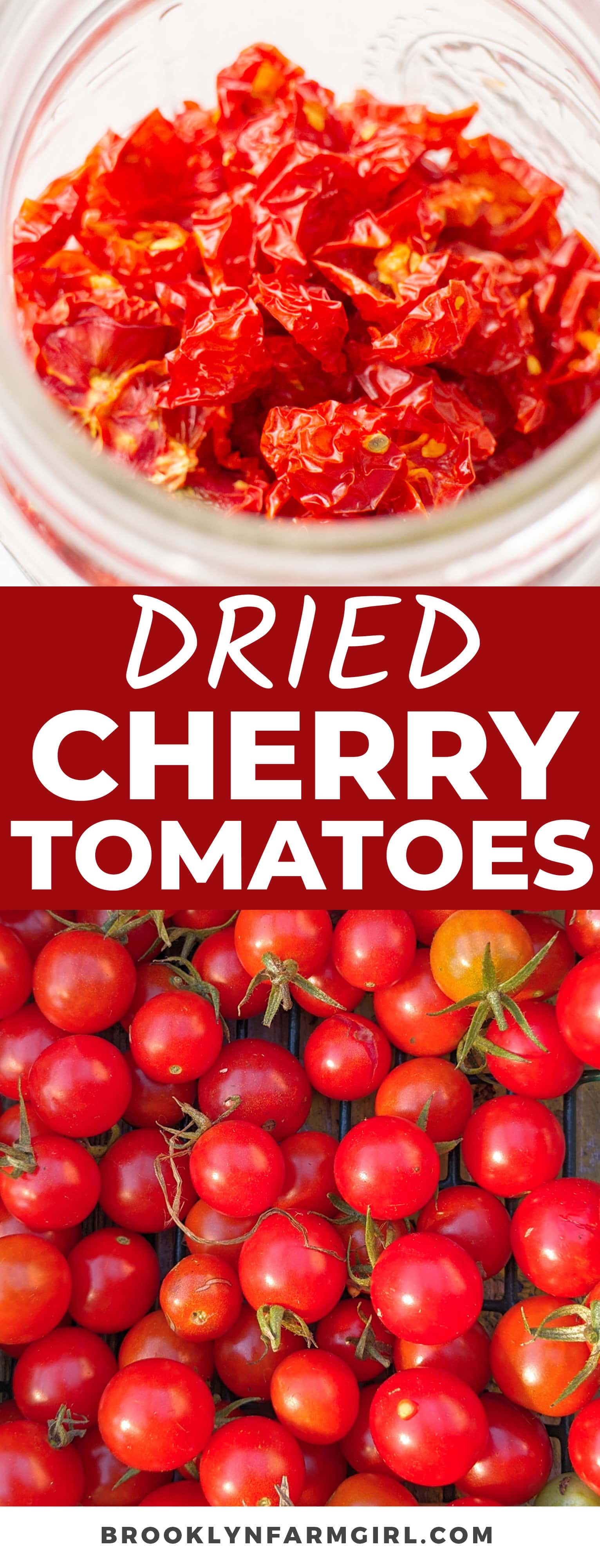 How to Dehydrate Cherry Tomatoes Brooklyn Farm Girl