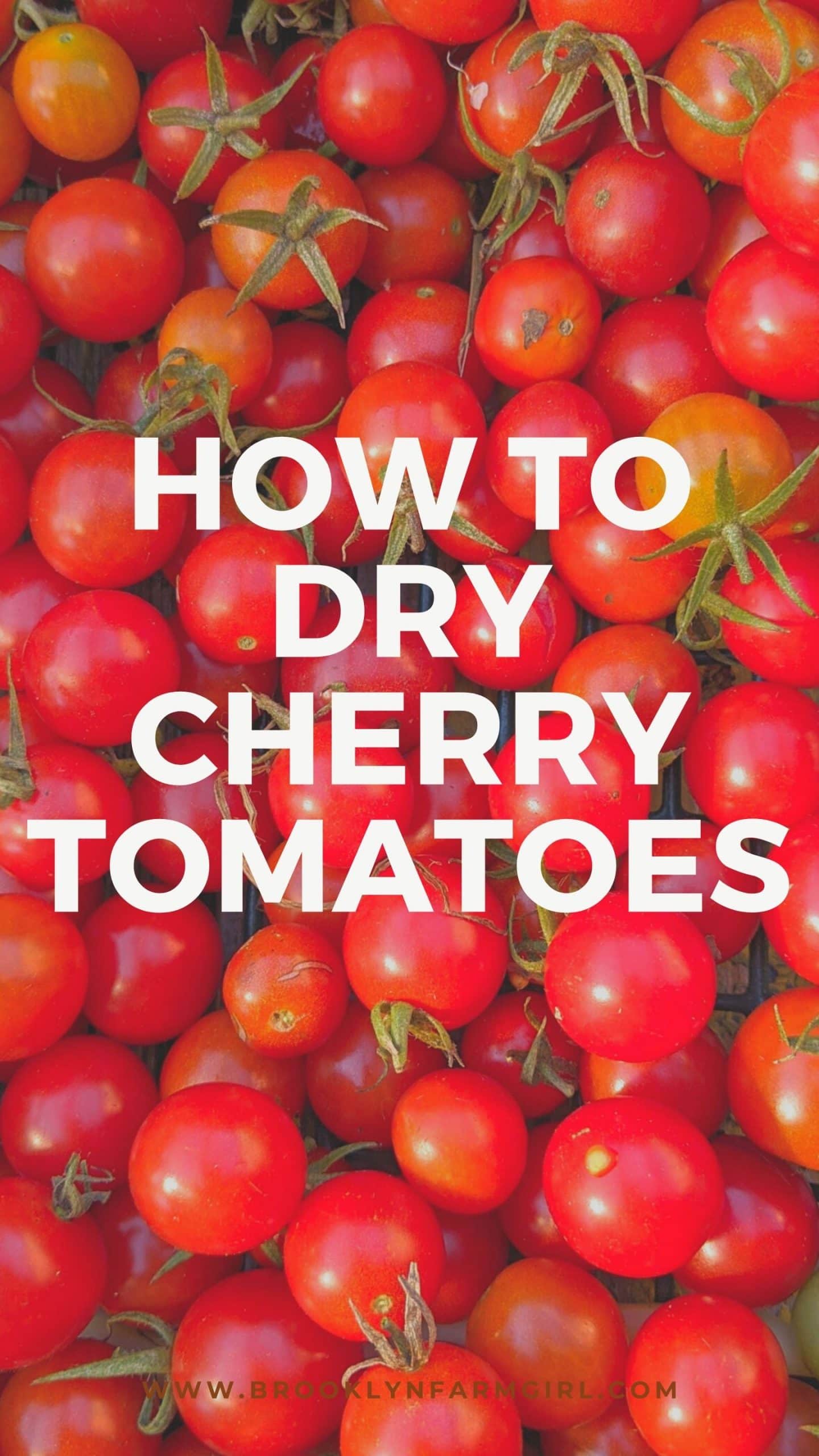 How to Dehydrate Cherry Tomatoes Brooklyn Farm Girl