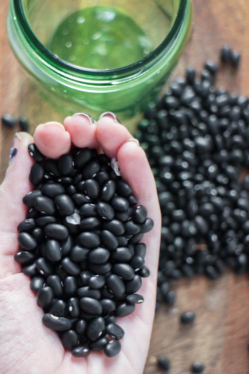 How to grow black bean plants from seeds in your vegetable garden. Looking for a new plant to grow in your garden this year? Try growing black beans! They're easy to grow, produce a good yield and store great for recipes!