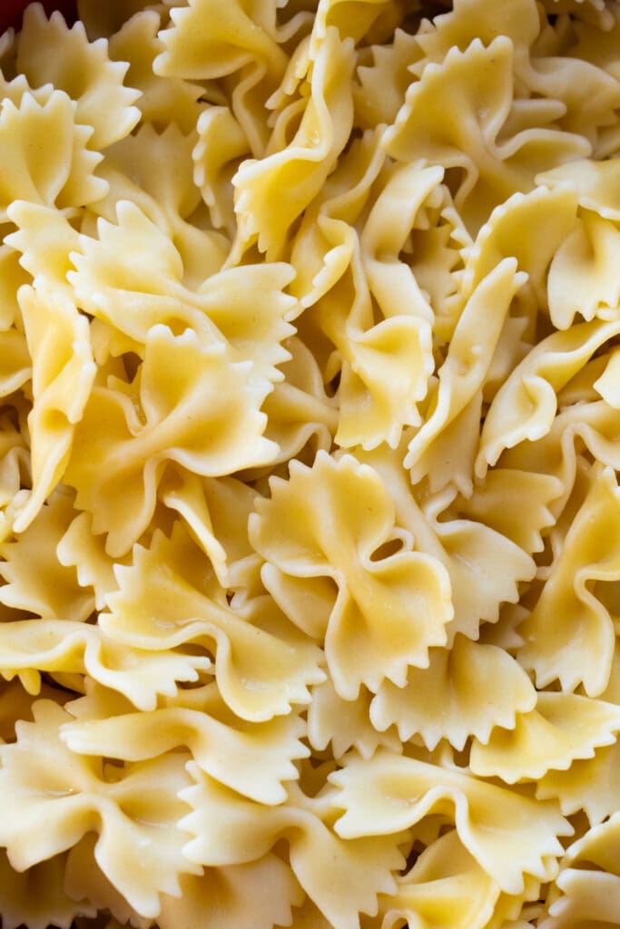 cooked bow tie pasta