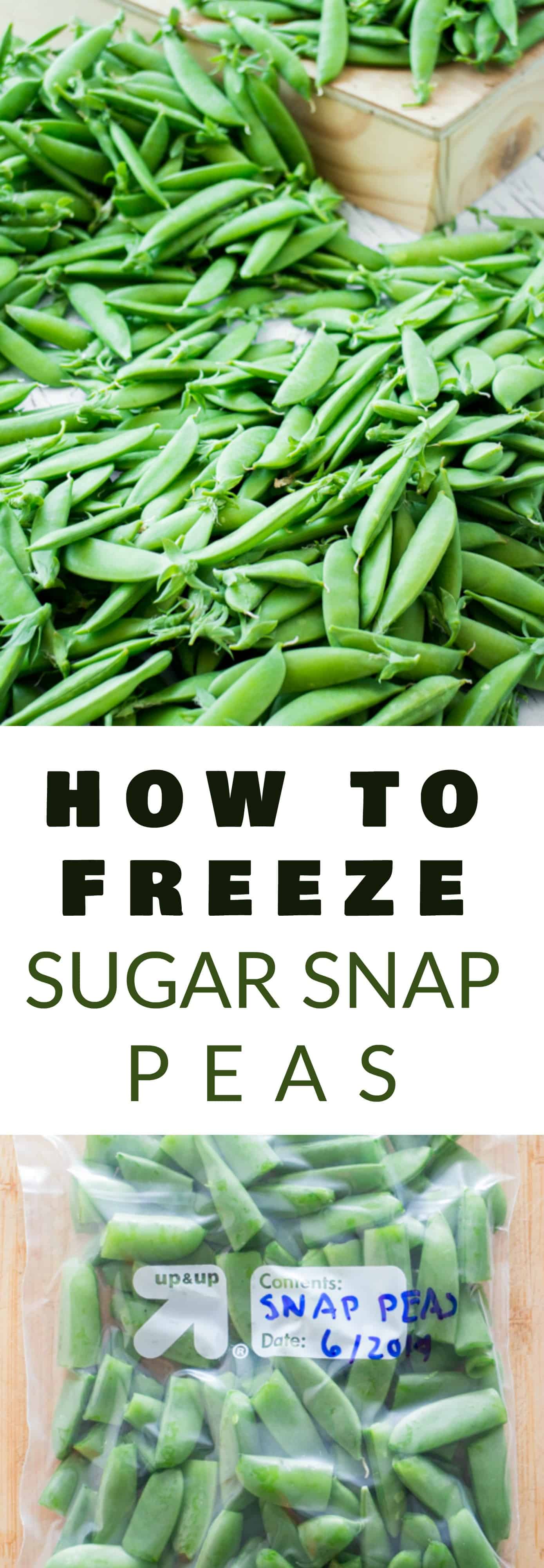 EASY Step by Step Instructions on how to freeze Sugar Snap Peas without blanching! This is a simple way to preserve your Summer Sugar Snap Peas to last for months without needing to can them!  I love freezing peas to use in Winter soups, casseroles and stir fry meals!