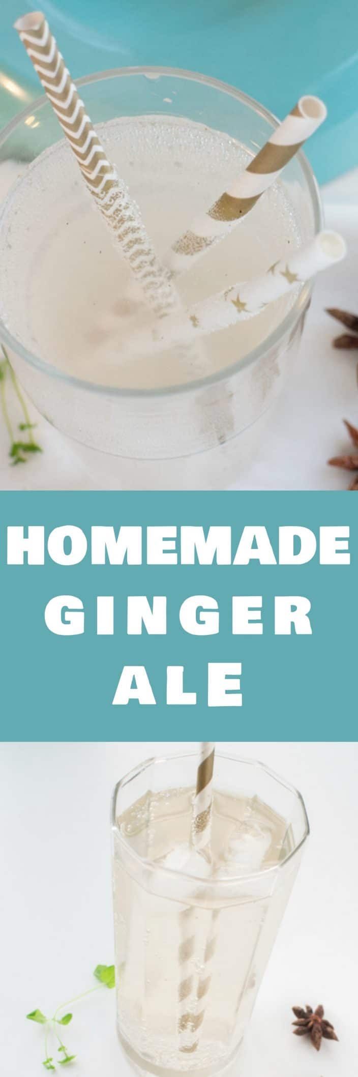 Homemade Ginger Ale Soda Brooklyn Farm Girl