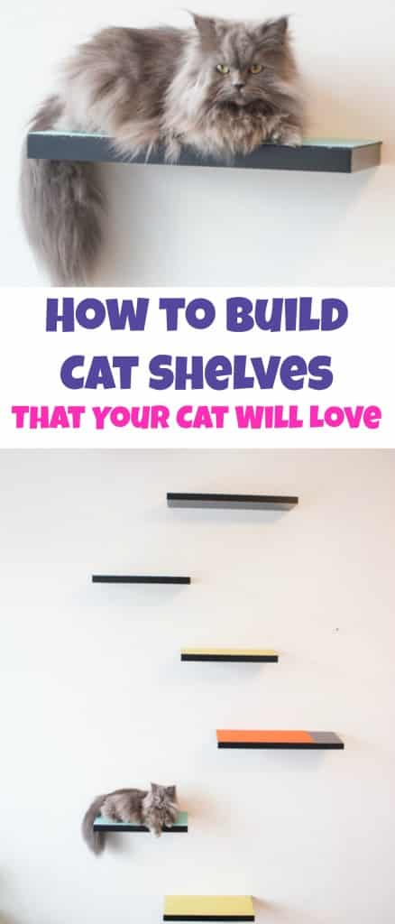 How to build cat shelves your cat will love! This is a easy DIY project that will be done in 30 minutes!