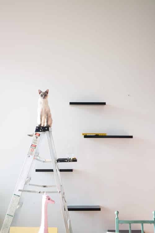 How To Build Cat Shelves That Your, How To Make Wall Shelves For Cats