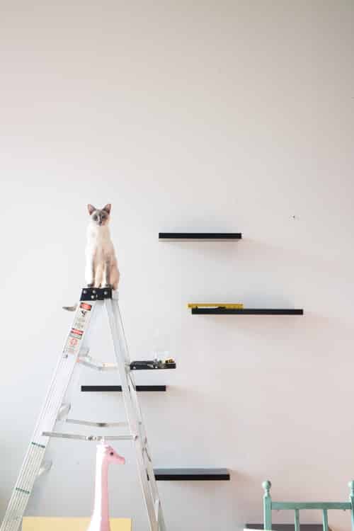 diy cat wall furniture