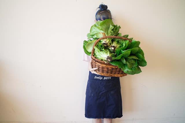 basket filled with lettuce