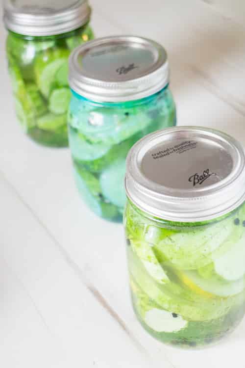 No Boil No Vinegar 24 Hour Easy Dill Hamburger Pickles_9 Brooklyn