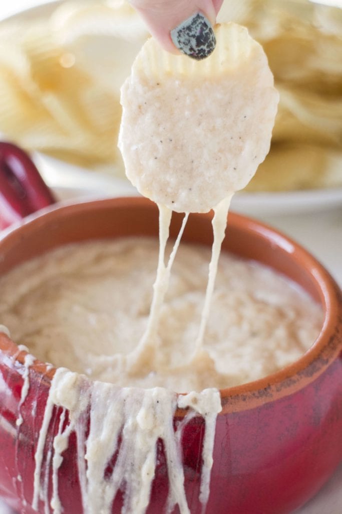 SLOW COOKER Creamy Onion Dip Brooklyn Farm Girl