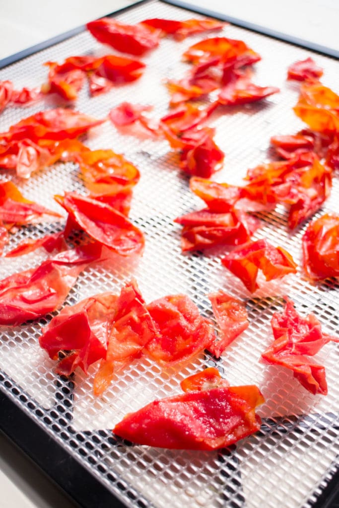 tomato skins on food dehydrator sheet
