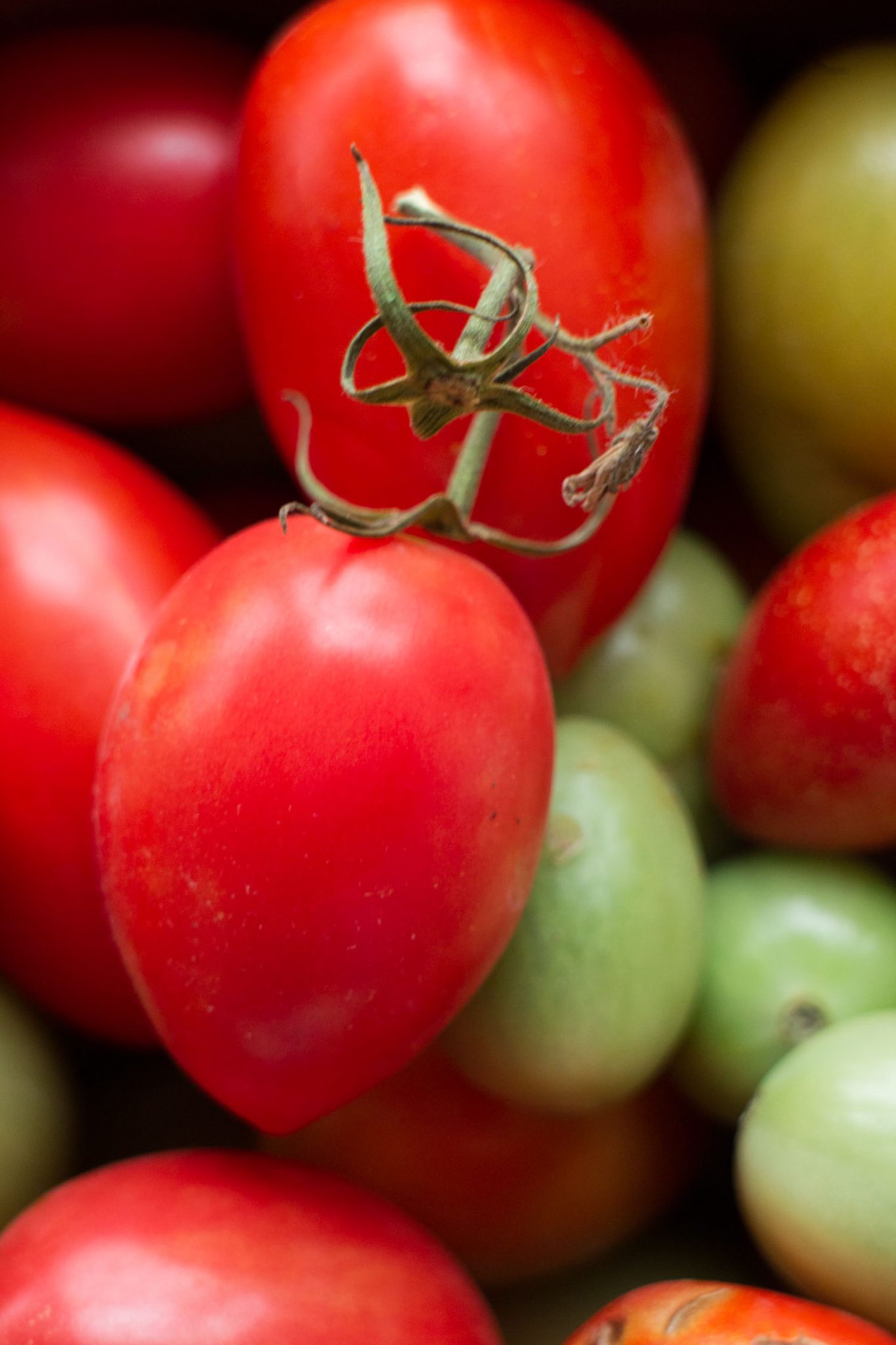 How to Turn Tomatoes Red Brooklyn Farm Girl