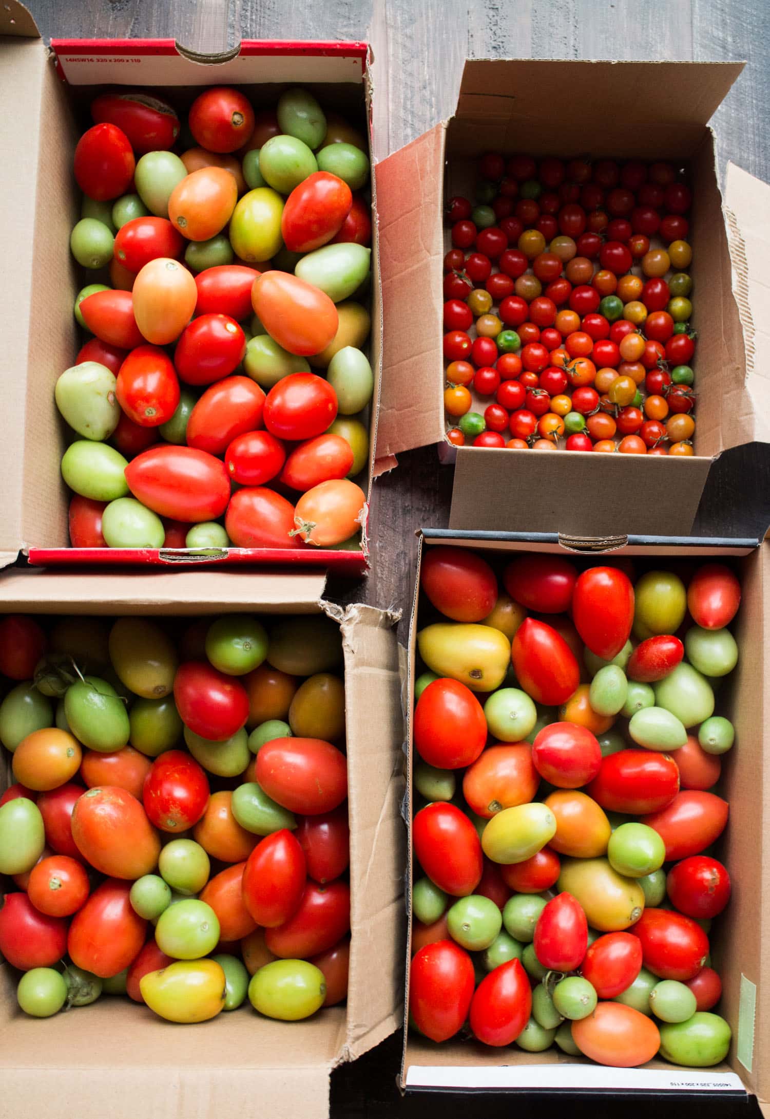red and green tomatoes in box