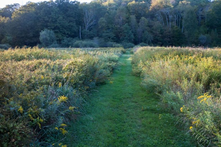 New Adventure... We bought land in Upstate NY! And this is how we closed on it. Brooklyn Farm Girl