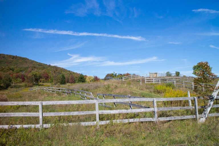 New Adventure... We bought land in Upstate NY! And this is how we