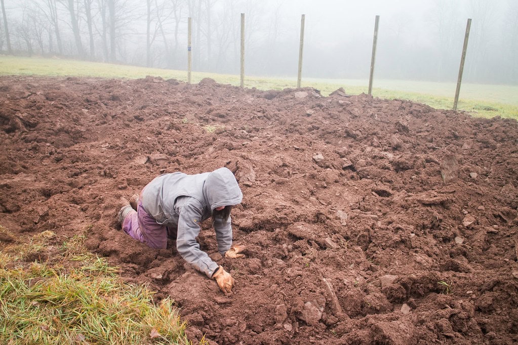 A person in a hooded jacket kneels and digs in a large, muddy field on a foggy day. Bare wooden posts and leafless trees are visible in the background.
