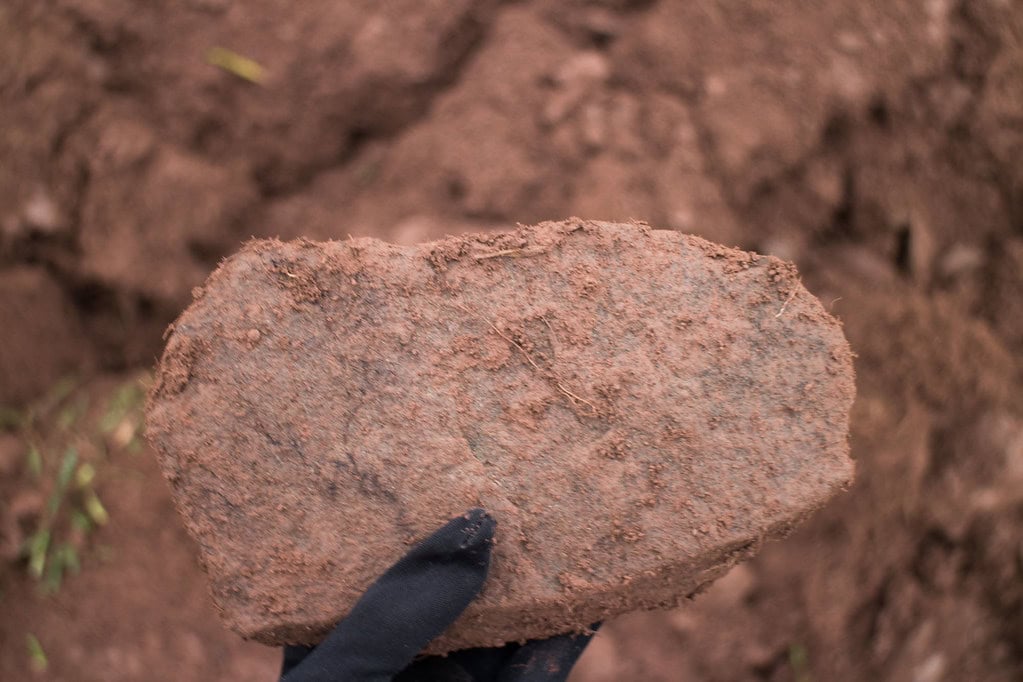 A gloved hand holds a large, flat, dirt-covered rock against a blurred background of soil.