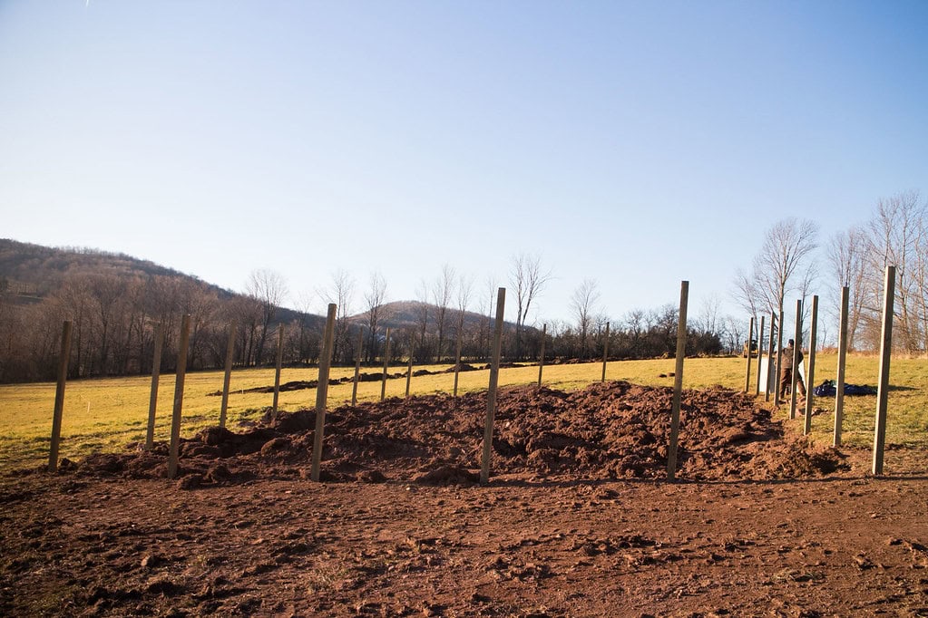 Wooden posts are arranged in rows in a freshly tilled dirt area on a farm, with grassy fields, bare trees, and hills in the background under a clear blue sky.