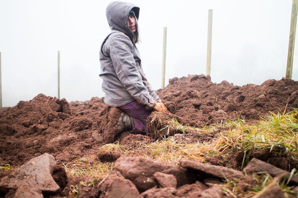A person in a gray hoodie kneels in muddy soil, holding grass and dirt with both hands. Wooden stakes are visible in the background on a foggy day.