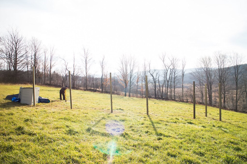 A person works near tall wooden posts in a grassy field with bare trees and hills in the background on a sunny day.