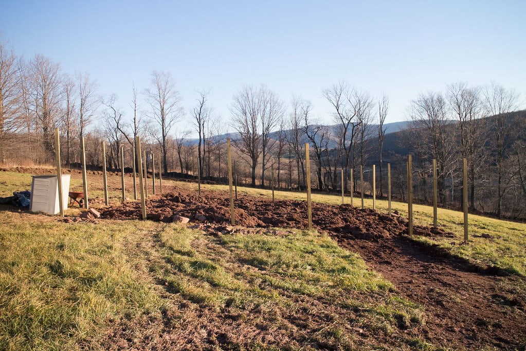 A grassy field with rows of wooden posts in the ground, possibly for a future fence or structure. Bare trees and hills are visible in the background under a clear blue sky.