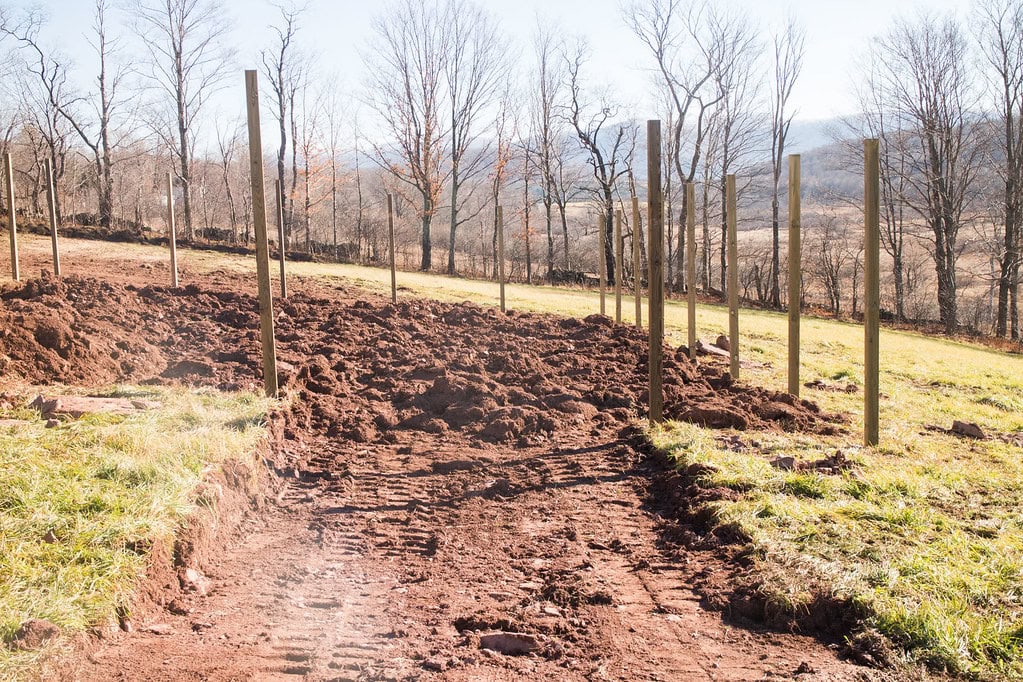 A muddy, freshly tilled field with wooden posts in rows, surrounded by leafless trees on a sunny day. Tire tracks are visible in the soil, and grassy areas border the field.