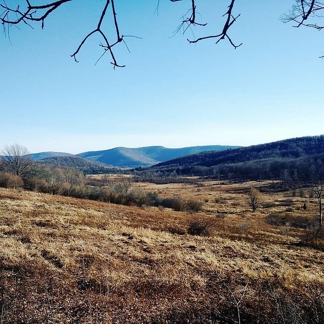 View from the land today. One day I'll be having my morning tea out here. ? #pandmupstateadventure #catskills #newyork #landscape #view