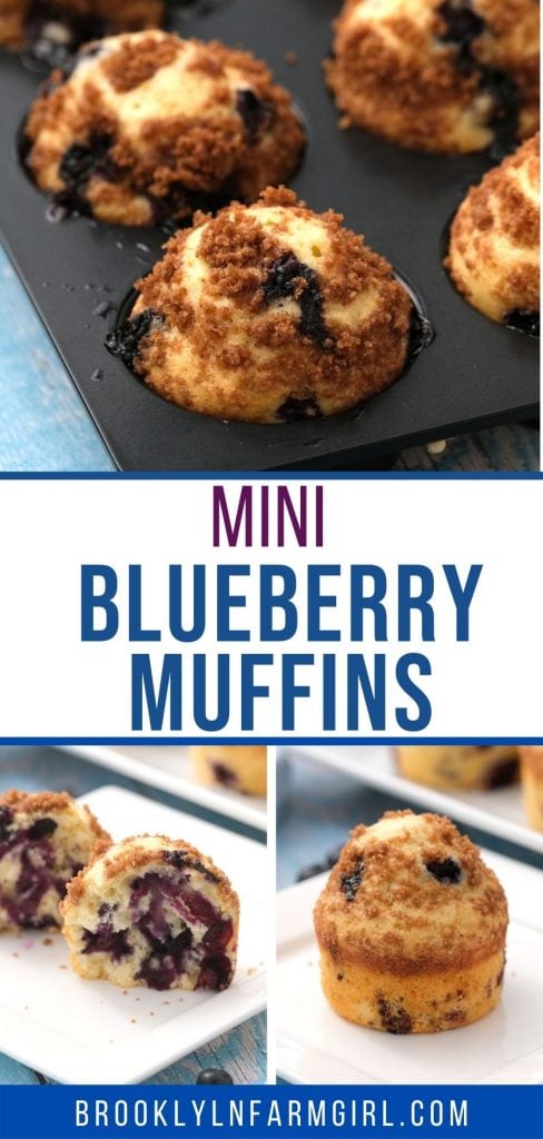 Moist Mini Blueberry Muffins with cinnamon sugar streusel. This recipe is easy to make in 20 minutes total, made with 1 cup of fresh blueberries!  My family loves these for breakfast, snack and dessert!