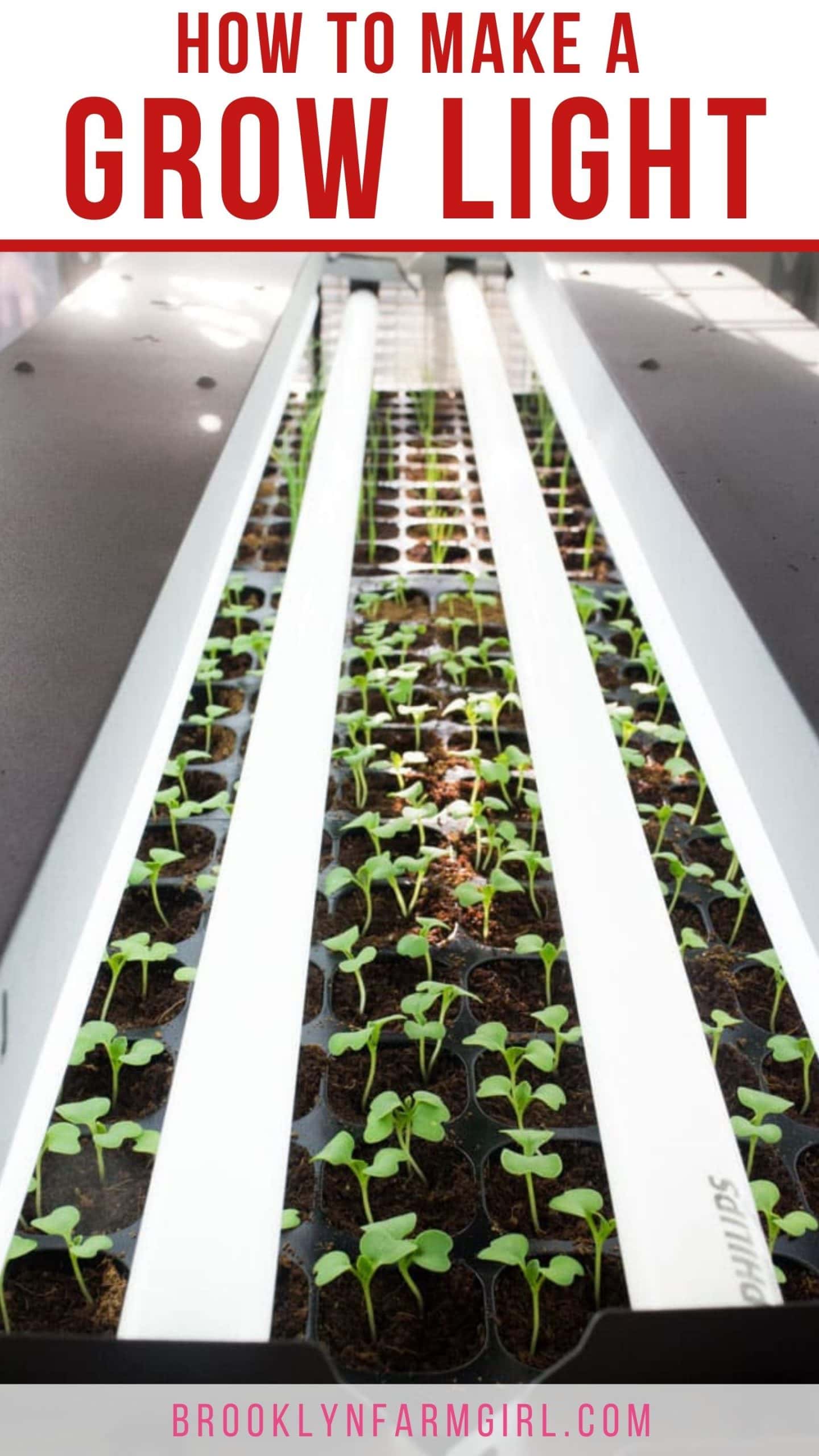 Seed Grow Light Systems at Glenn Gonsalves blog