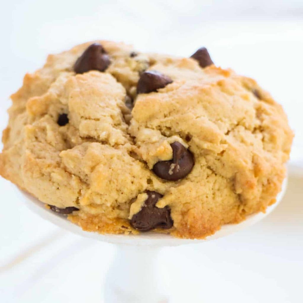 Single Serving Chocolate Chip Cookie Brooklyn Farm Girl