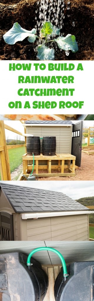 It's easy to attach gutters onto your shed roof to collect water! Perfect solution for catching rainwater for your garden.