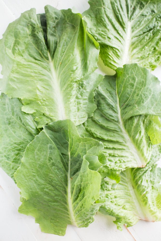 How to Store Lettuce to Last a month!  This easy tip shows you how to wrap your lettuce in aluminum foil to keep it fresh in the refrigerator.  The lettuce stays so crisp after a month I can even use it for salads! 