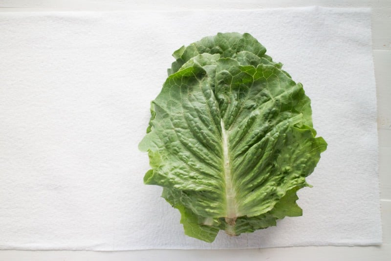 How to Keep Lettuce and Peas Fresh with Paper Towels Brooklyn Farm Girl