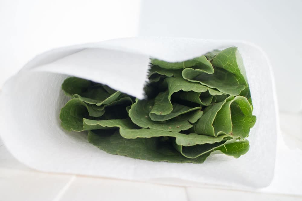 How to Keep Lettuce and Peas Fresh with Paper Towels Brooklyn Farm Girl