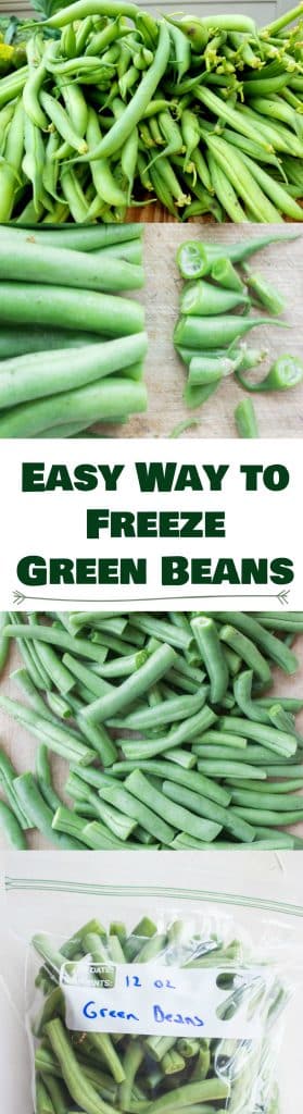 Easy step by step instructions on how to freeze green beans without blanching. These green beans will last up to a year.