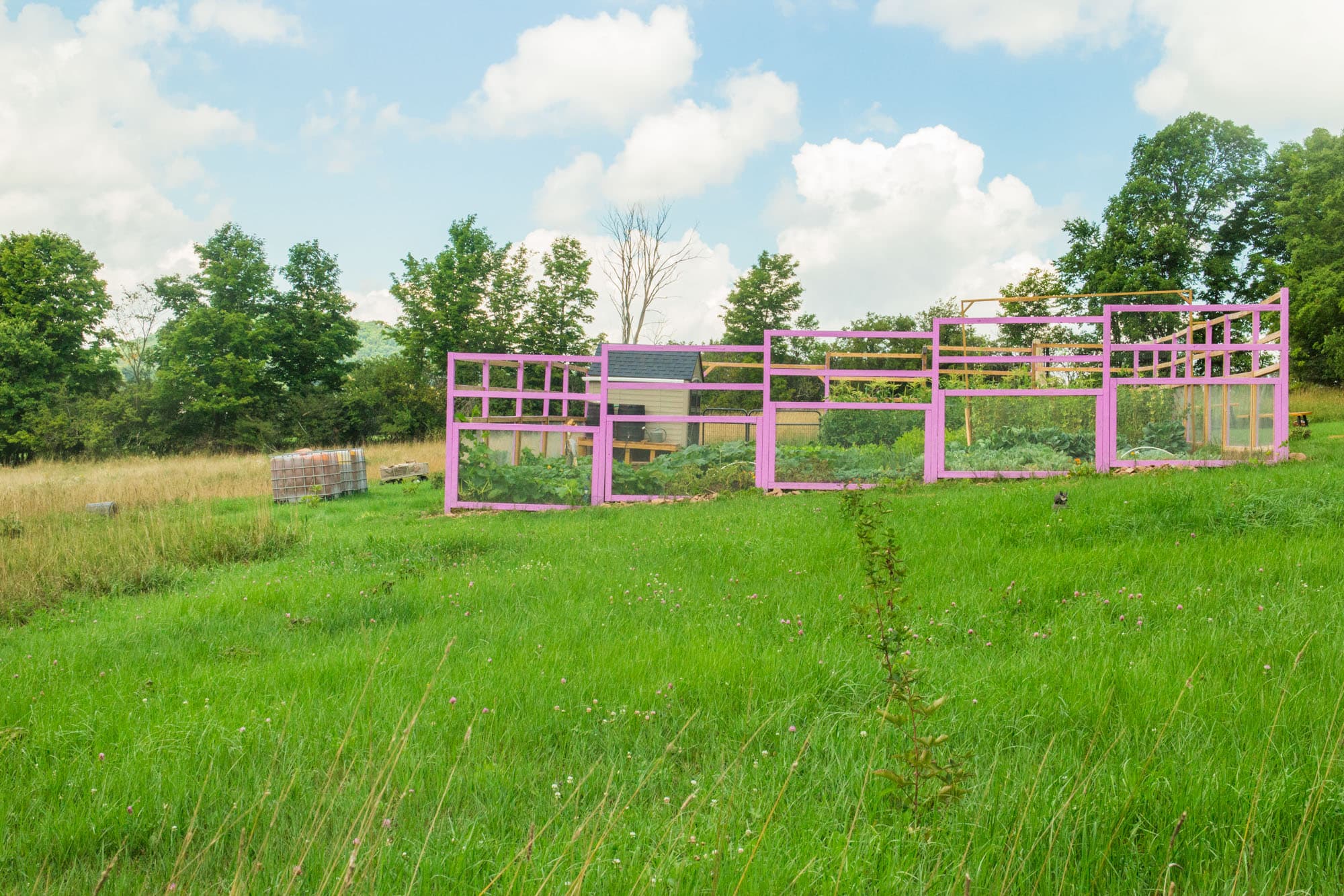 Brooklyn Farm Girl's Colorful Vegetable Garden in Upstate New York. 