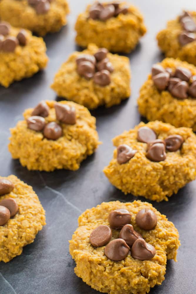 rows of pumpkin cookies with chocolate chips on top