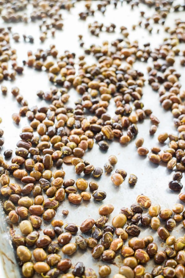Roasted Soybeans Brooklyn Farm Girl