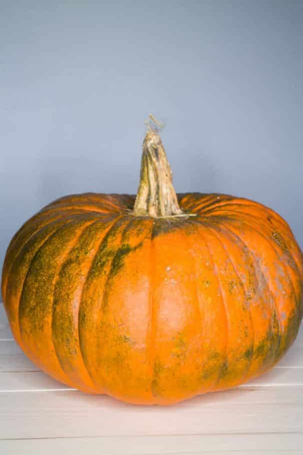 Easy tips on how to turn green pumpkins orange quickly indoors.   This works for small and large pumpkins.