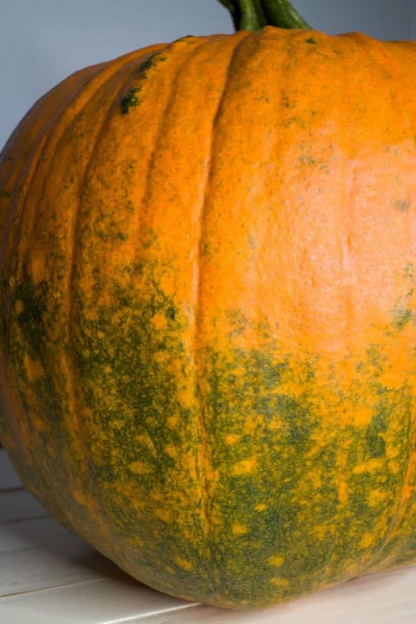 Easy tip on how to turn green pumpkins orange quickly indoors. This works for small and large pumpkins.