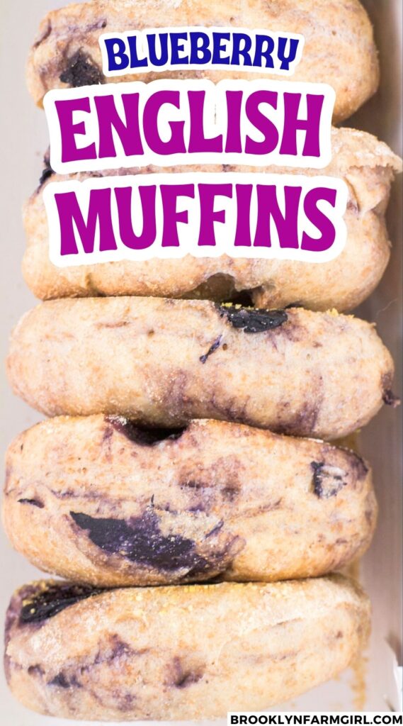 Make soft, fluffy Blueberry English Muffins at home with this easy baked recipe. Perfect for breakfast or freezing for later—toast and enjoy juicy blueberries in every bite!