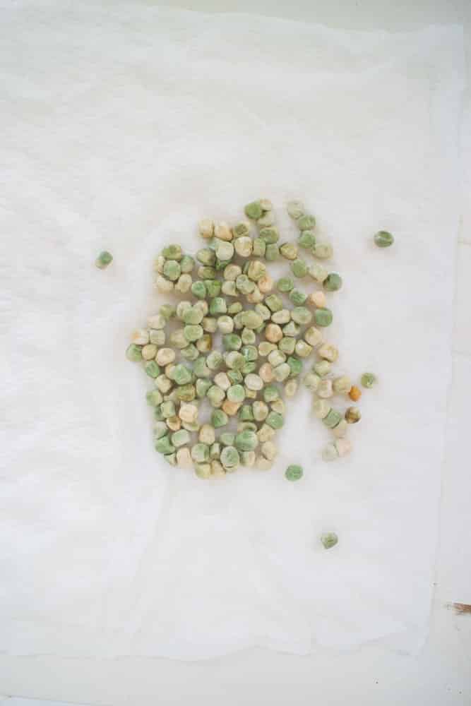 Easy step by step instructions on how to presprout Sugar Snap Peas. By doing this you’re promised that your seeds won’t rot before they sprout under the soil resulting in a successful plant and pounds of sugar snap peas to pick!