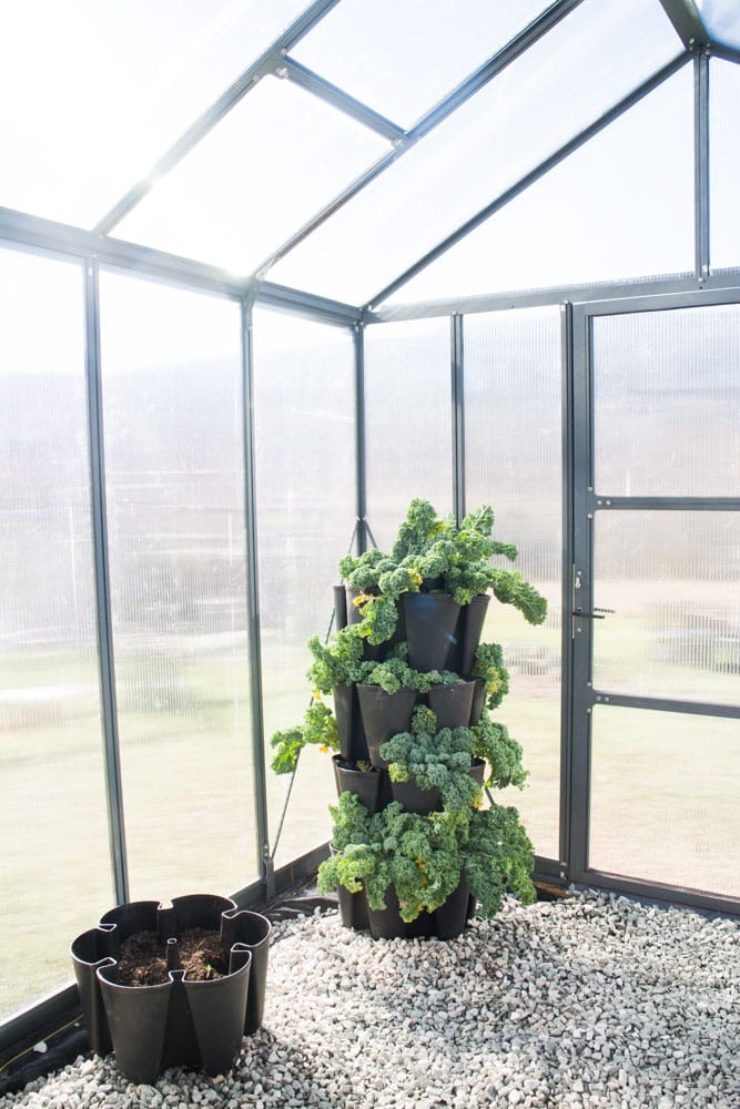 Make gardening season last year round with a greenhouse! Go green and grow your own! 