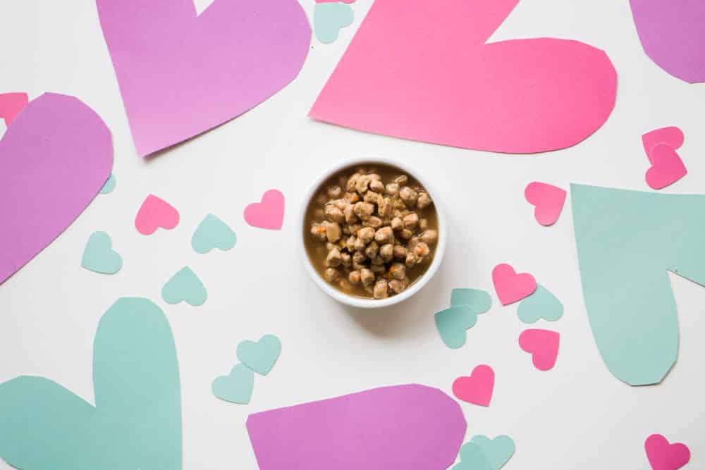 Show your cat you love them on Valentine's Day with a tasty meal!