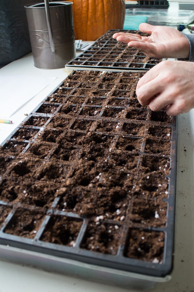 How to Plan Your Spring Garden. Spring is a great time to organize your seeds and decide what vegetables grew great and didn't work last year. Follow these tips and ideas for a successful Spring garden planting season!