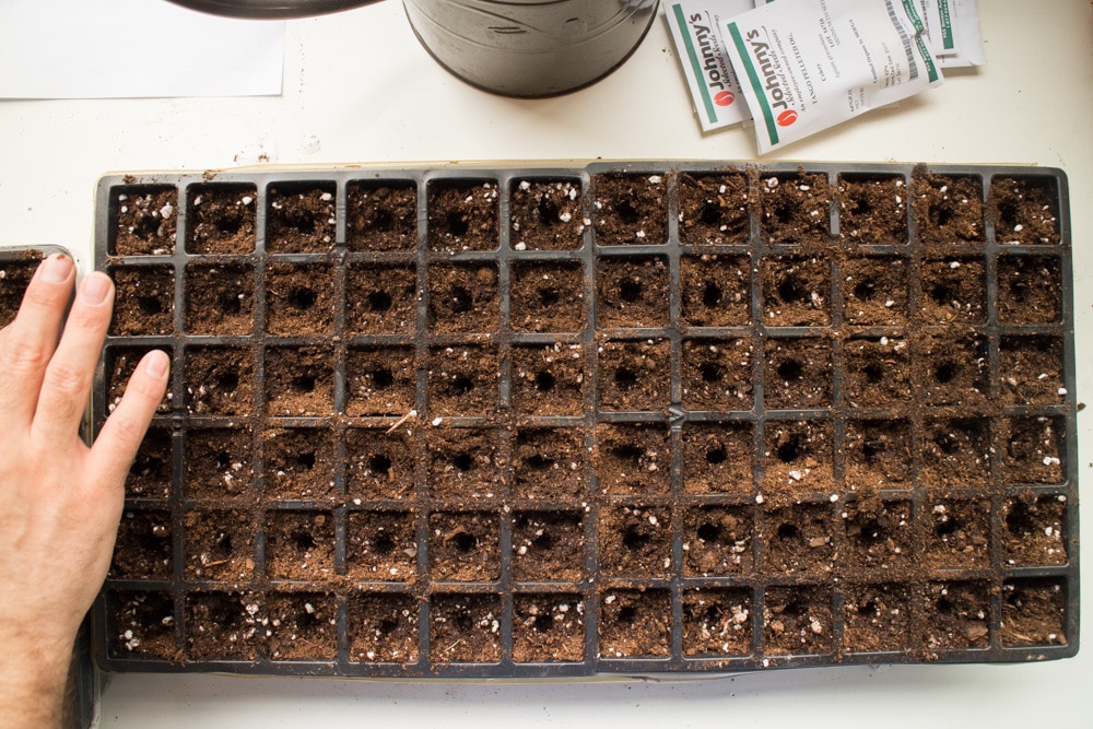 How to Plan Your Spring Garden. Spring is a great time to organize your seeds and decide what vegetables grew great and didn't work last year. Follow these tips and ideas for a successful Spring garden planting season!