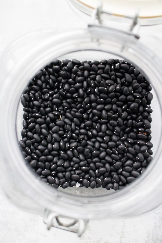 How to grow black bean plants from seeds in your vegetable garden. Looking for a new plant to grow in your garden this year? Try growing black beans! They're easy to grow, produce a good yield and store great for recipes!