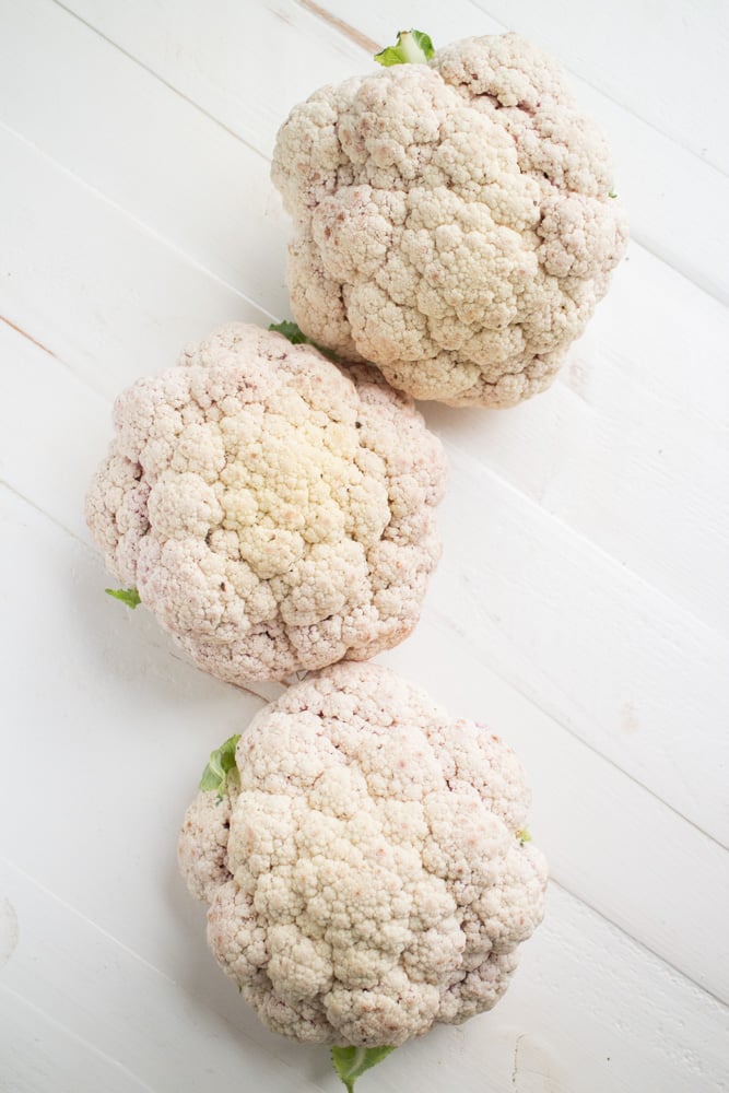 After years of failing at growing cauliflower we switched to a new variety and grew over 20 pounds of cauliflower! Learn how we grow cauliflower from seeds that can withstand Summer heat and result in a big cauliflower harvest!