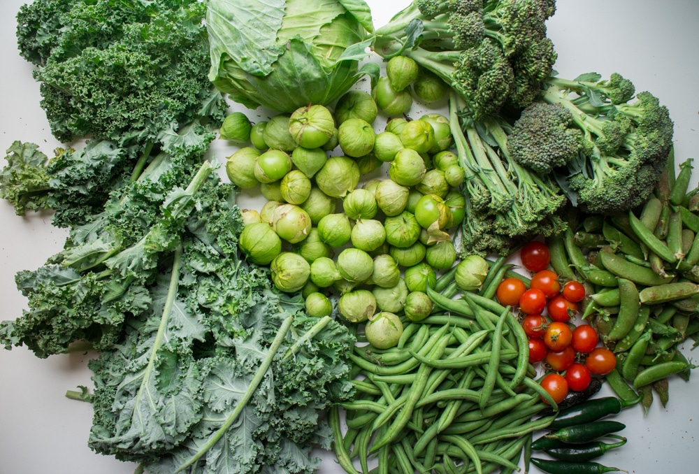 This week's garden harvest includes lots of greens! Join me as I show you what's growing in our Upstate New York garden during August! 