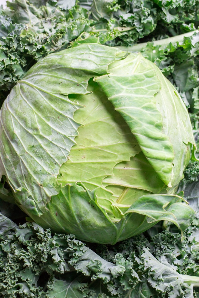 This week's garden harvest includes lots of greens! Join me as I show you what's growing in our Upstate New York garden during August! 